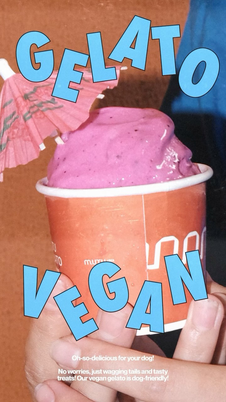 Rahasia di Balik Es Krim Homemade: Rasa, Cerita, dan Inovasi Papakibo